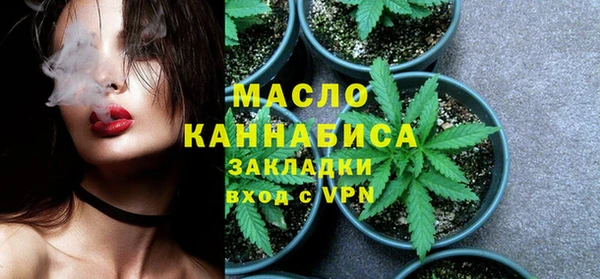 гидра Костерёво