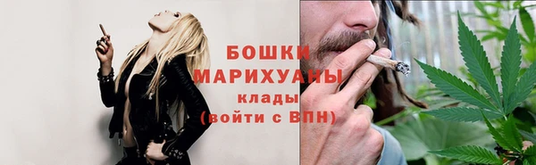 гидра Костерёво
