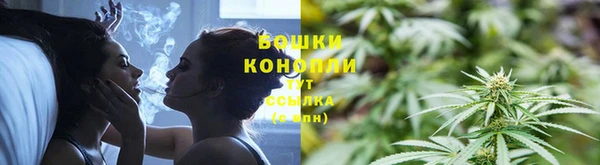 гидра Костерёво