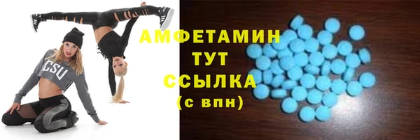 гидра Костерёво