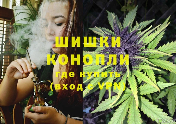 стаф Коряжма