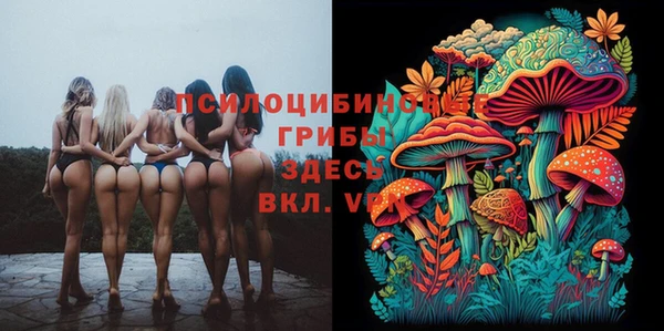 стаф Коряжма