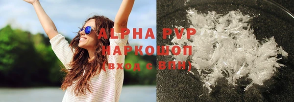 стаф Коряжма